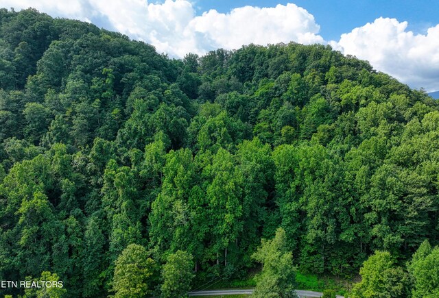 Emilyville Way, Cosby, TN 37722 - photo 27
