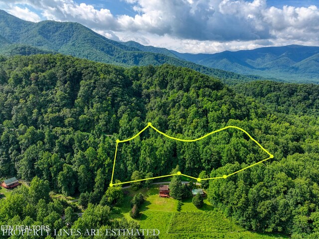 Emilyville Way, Cosby, TN 37722 - photo 28