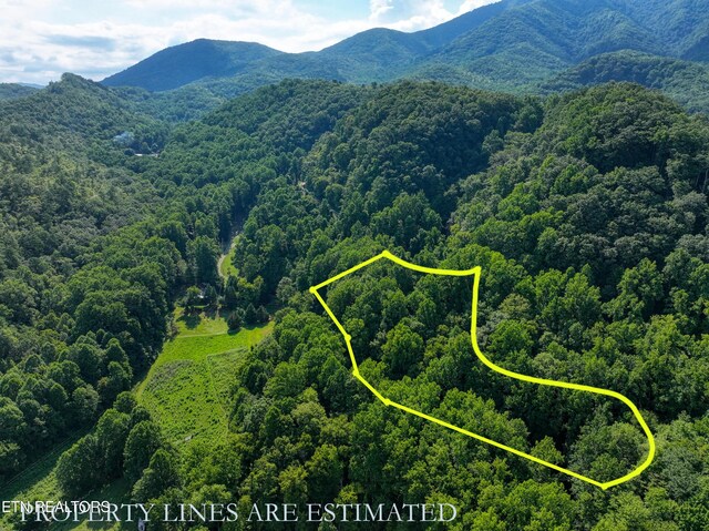 Emilyville Way, Cosby, TN 37722 - photo 29