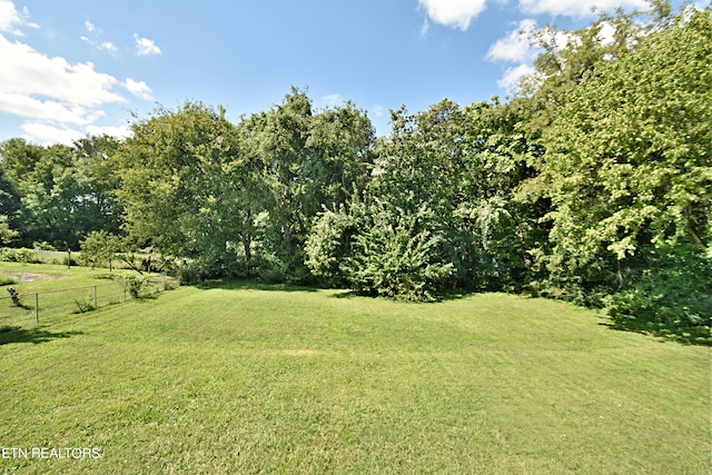 view of yard with a rural view