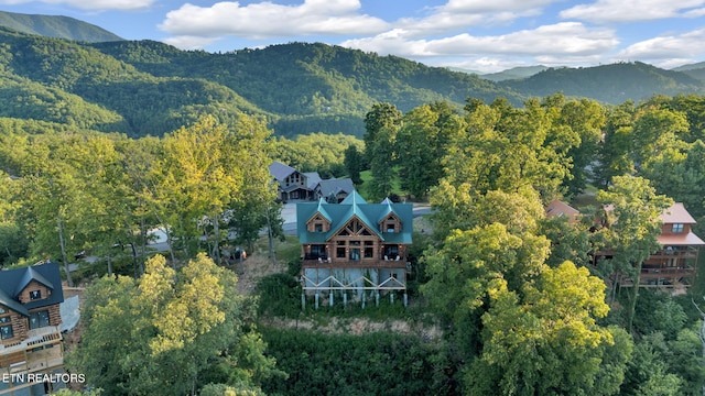 aerial view with a mountain view