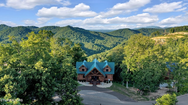 view of mountain feature