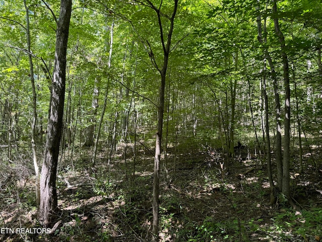 Listing photo 3 for Smokey Creek Rd, Huntsville TN 37756