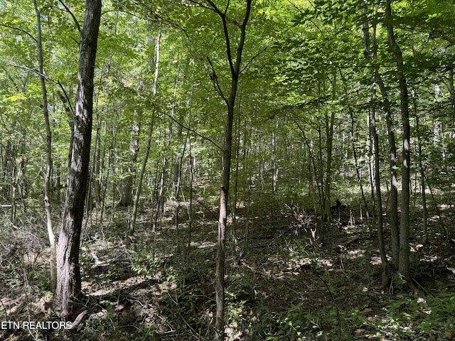 Smokey Creek Rd, Huntsville, TN 37756