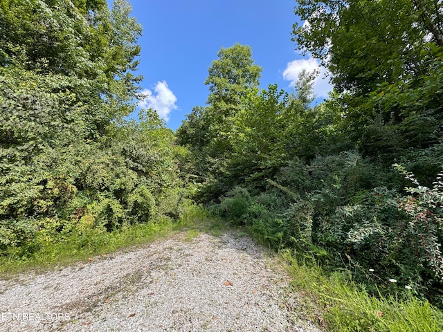 Listing photo 2 for Smokey Creek Rd, Huntsville TN 37756