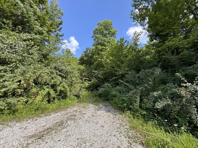 Smokey Creek Rd, Huntsville, TN 37756
