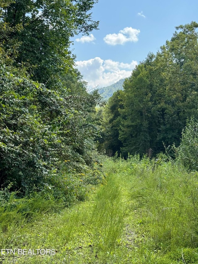 Smokey Creek Rd, Huntsville TN, 37756 land for sale