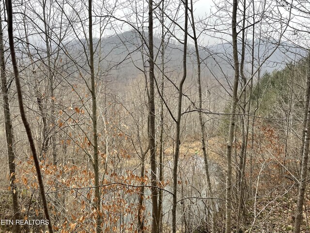Smokey Creek Rd, Huntsville, TN 37756