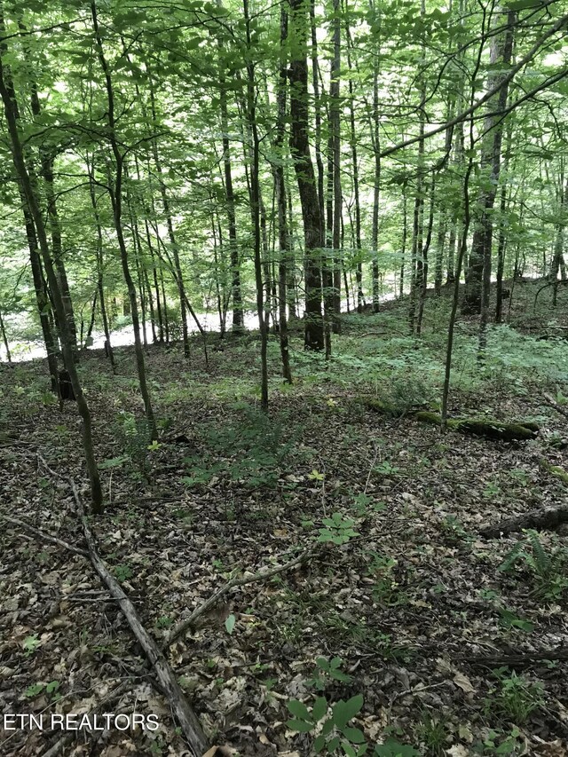 Smokey Creek Rd, Huntsville, TN 37756