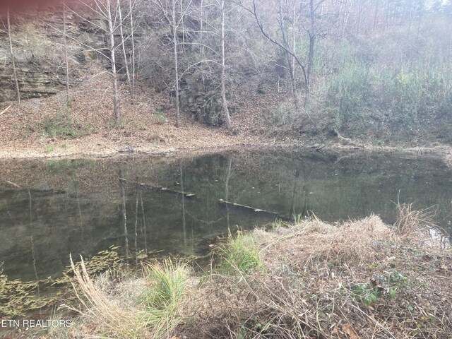Smokey Creek Rd, Huntsville, TN 37756