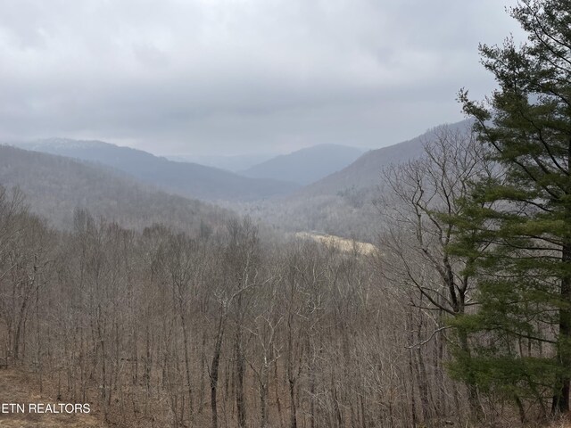 Smokey Creek Rd, Huntsville, TN 37756