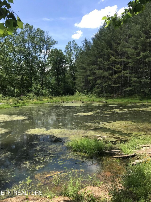 Smokey Creek Rd, Huntsville, TN 37756
