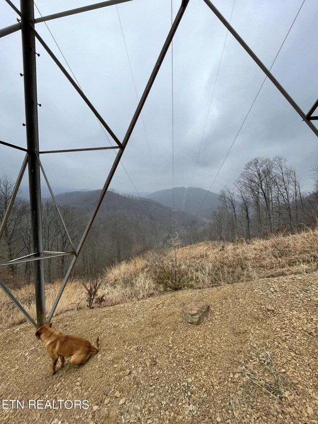 Smokey Creek Rd, Huntsville, TN 37756