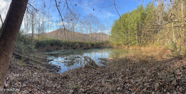 Smokey Creek Rd, Huntsville, TN 37756