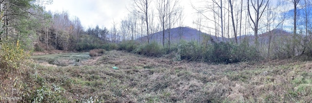 Smokey Creek Rd, Huntsville, TN 37756