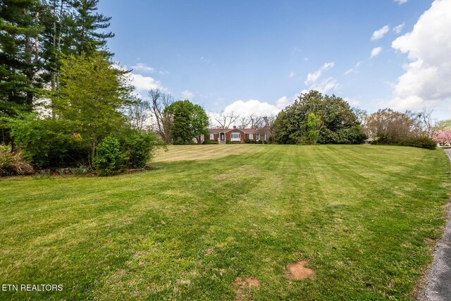1905 E Westwood Dr, Maryville, TN 37803 - photo 34