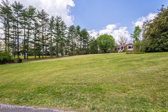 1905 E Westwood Dr, Maryville, TN 37803 - photo 33