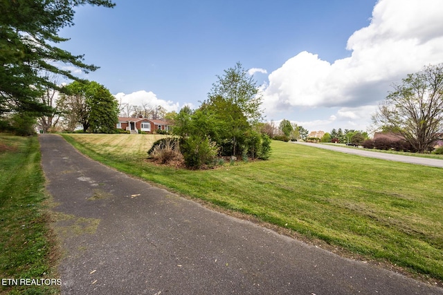 1905 E Westwood Dr, Maryville, TN 37803 - photo 40