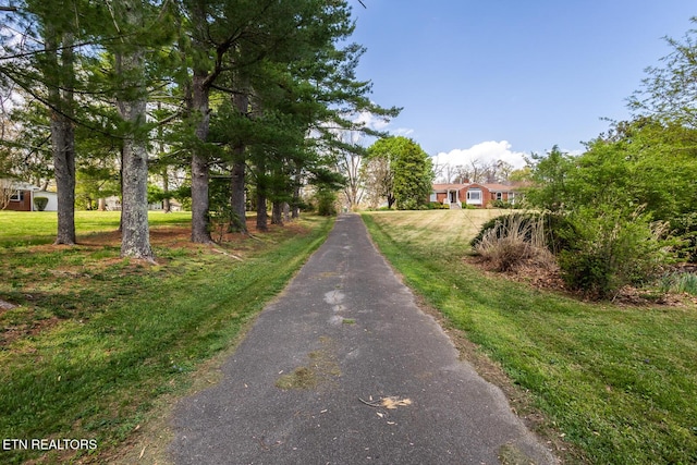 1905 E Westwood Dr, Maryville, TN 37803 - photo 41