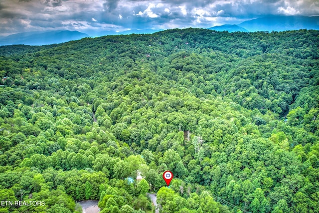 drone / aerial view featuring a mountain view