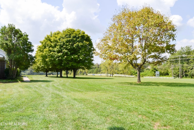 view of yard