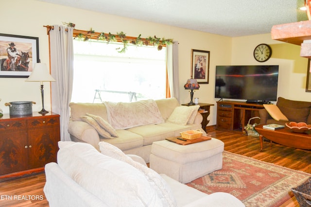 living room featuring hardwood / wood-style flooring and a textured ceiling