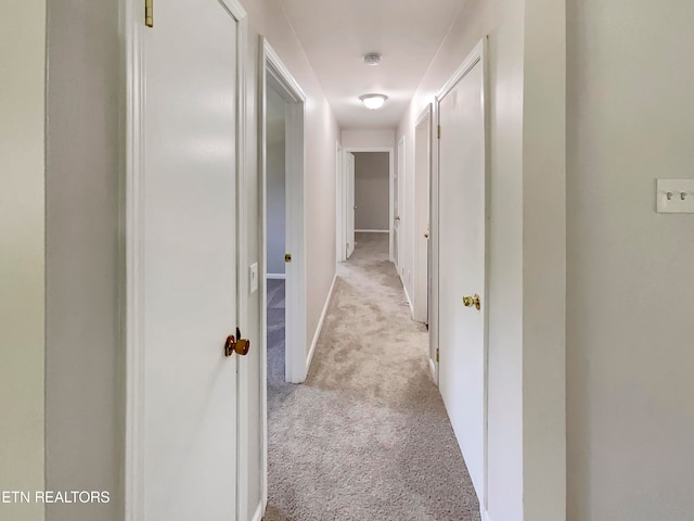 hallway with light carpet