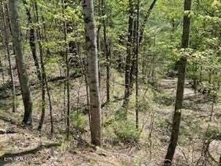 Listing photo 3 for LOT18 Castle Rise Way, Sevierville TN 37862