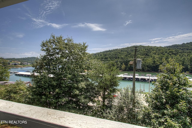 view of water feature