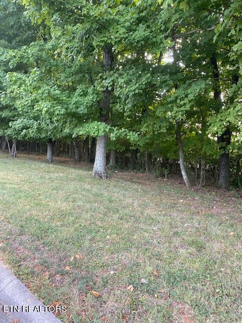 670 Fort Hill St, Loudon TN, 37774 land for sale