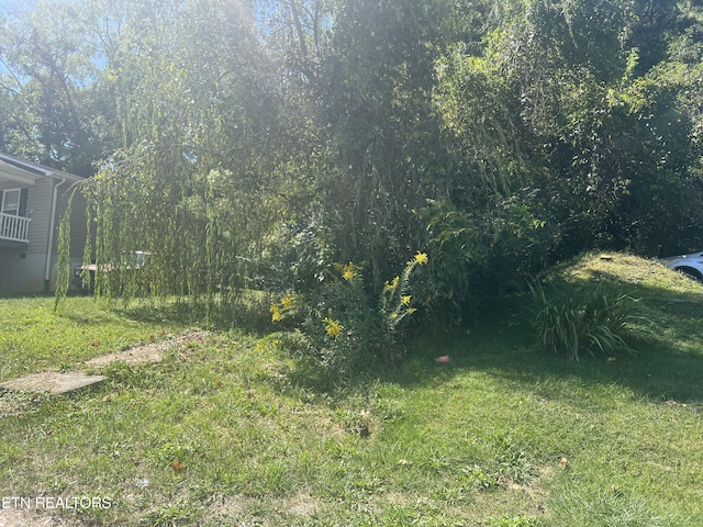 712 E Maple St, Johnson City, TN 37601