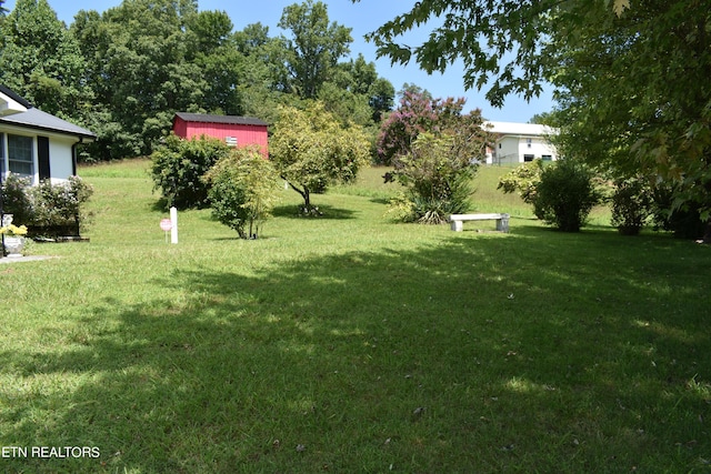 view of yard featuring a storage shed and an outbuilding