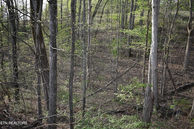 view of landscape featuring a wooded view