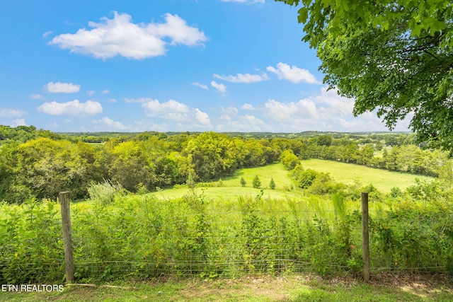 view of local wilderness with a view of trees