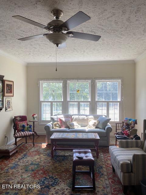 living room with ornamental molding, a textured ceiling, and plenty of natural light