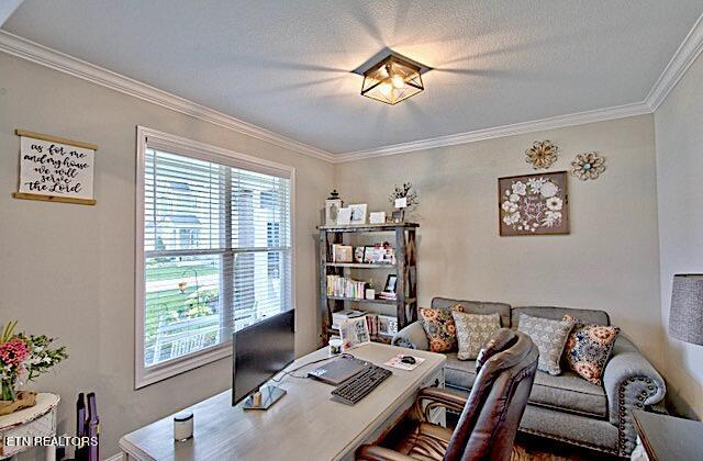 office area featuring crown molding and a textured ceiling