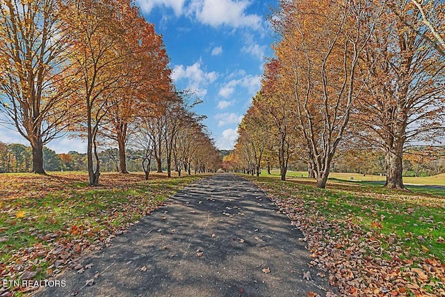 view of street