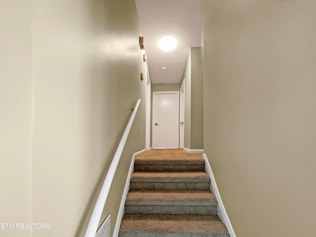 staircase with carpet flooring