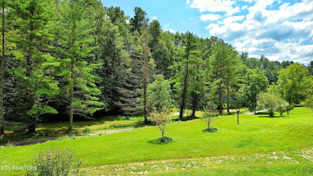 view of home's community with a yard