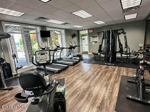 gym featuring hardwood / wood-style floors, a paneled ceiling, and a healthy amount of sunlight