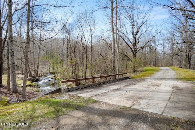 view of road featuring a wooded view