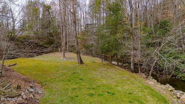 view of yard with a view of trees