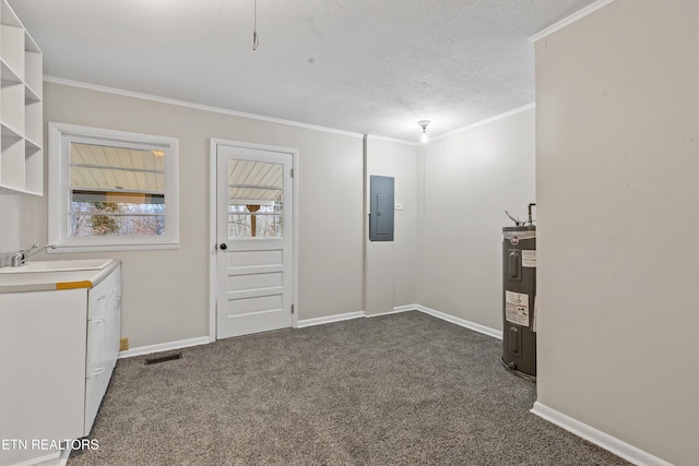 interior space with crown molding, dark colored carpet, electric water heater, a sink, and electric panel