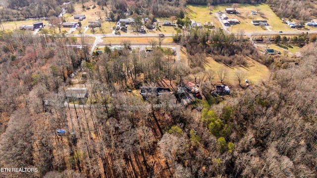 bird's eye view with a forest view