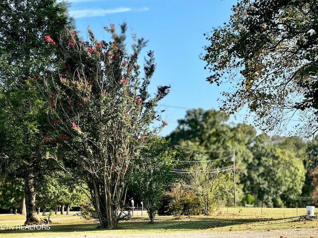 view of nature