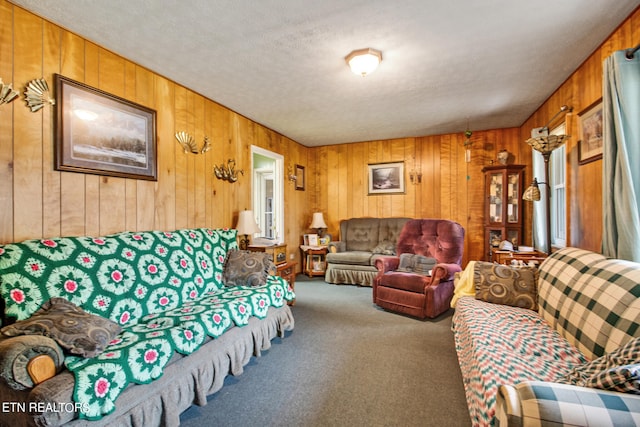 living area with a textured ceiling and carpet floors