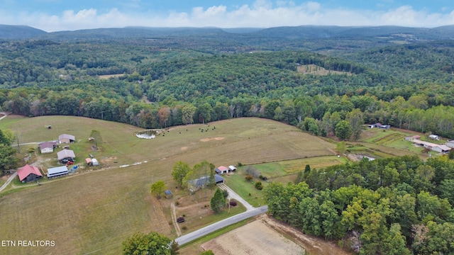 bird's eye view with a view of trees