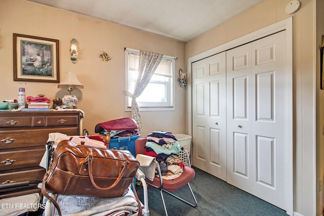 bedroom with carpet and a closet