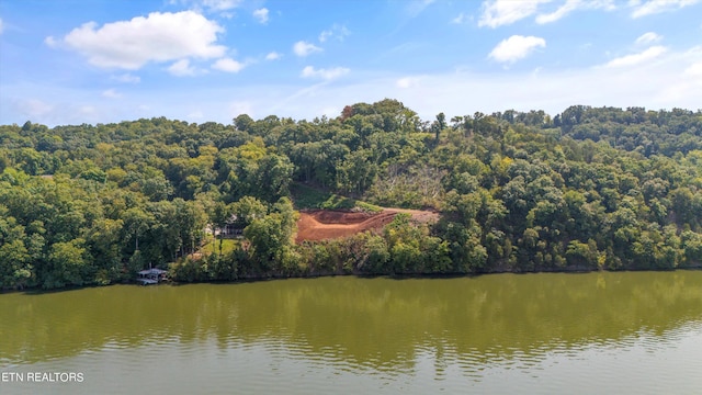 Listing photo 3 for 2132 Delta Queen Rd, Louisville TN 37777