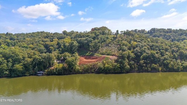 2132 Delta Queen Rd, Louisville, TN 37777 - photo 3